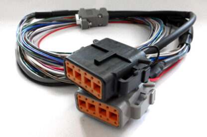 XEDE wiring harness